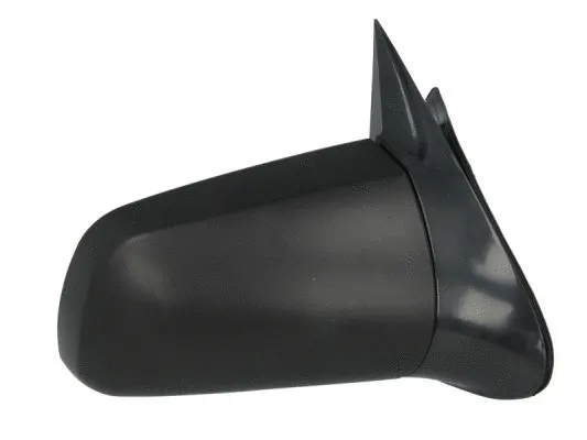 Exterior Mirror (5402-04-1125236P)