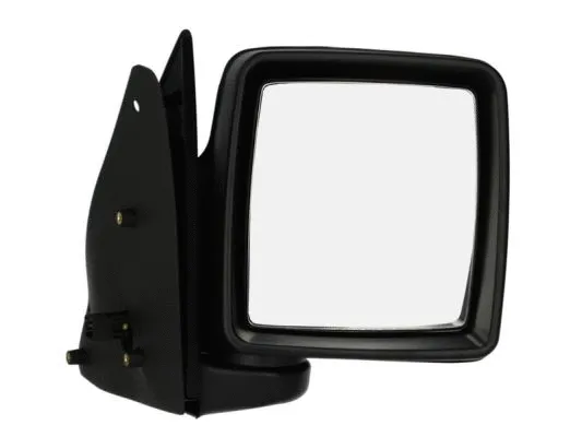Exterior Mirror (5402-04-9221221P)