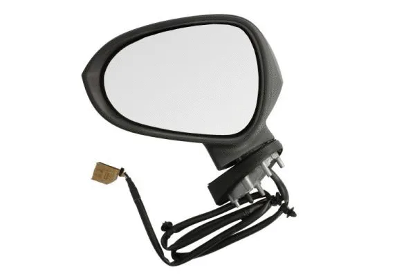 Exterior Mirror (5402-10-2002277P)