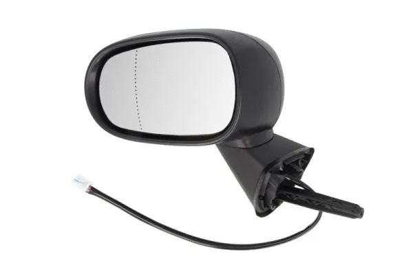 Exterior Mirror (5402-09-2002197P)