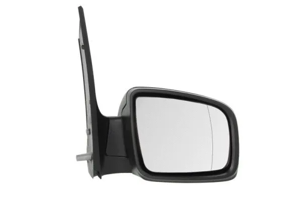Exterior Mirror (5402-02-2001828P)