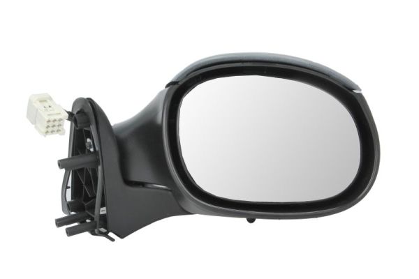 Exterior Mirror (5402-04-1129312)