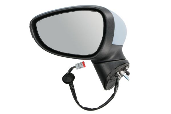 Exterior Mirror (5402-04-1113392P)