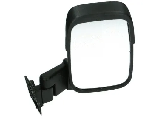 Exterior Mirror (5402-04-9211911)