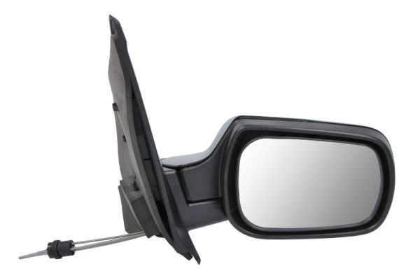 Exterior Mirror (5402-04-1138387)