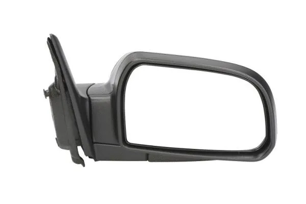 Exterior Mirror (5402-20-2001378P)