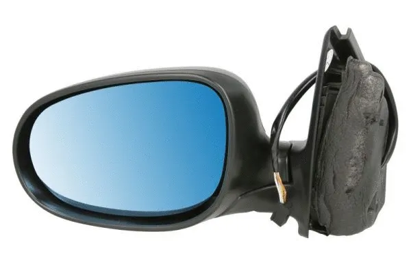 Exterior Mirror (5402-04-1125550)