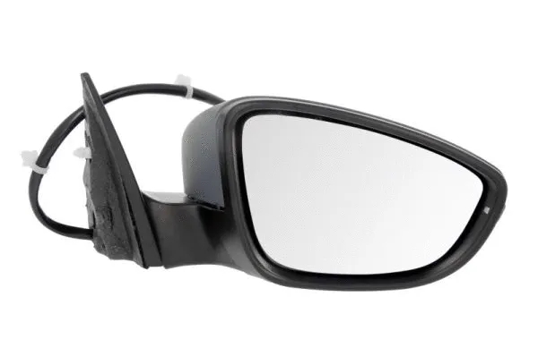 Exterior Mirror (5402-01-2002698P)