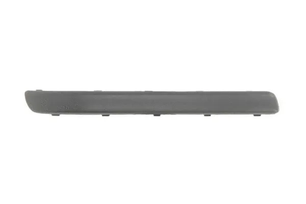 Trim/Protection Strip, bumper (5703-05-5023971Q)