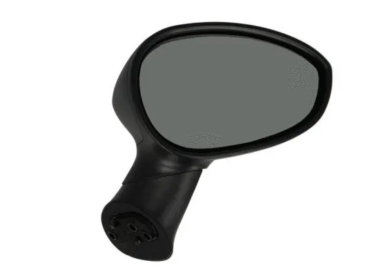Exterior Mirror (5402-04-1122527P)