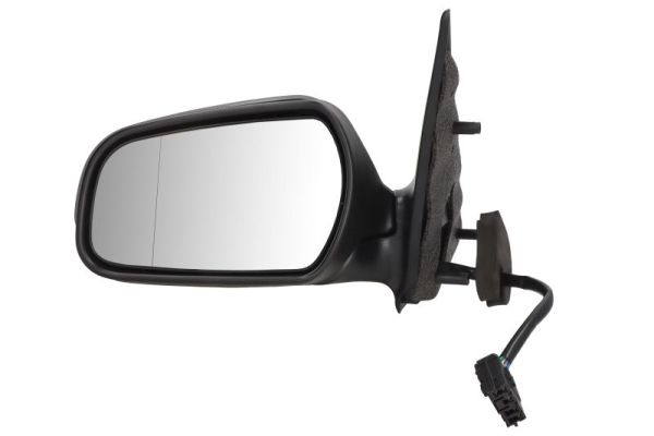 Exterior Mirror (5402-04-1125310)