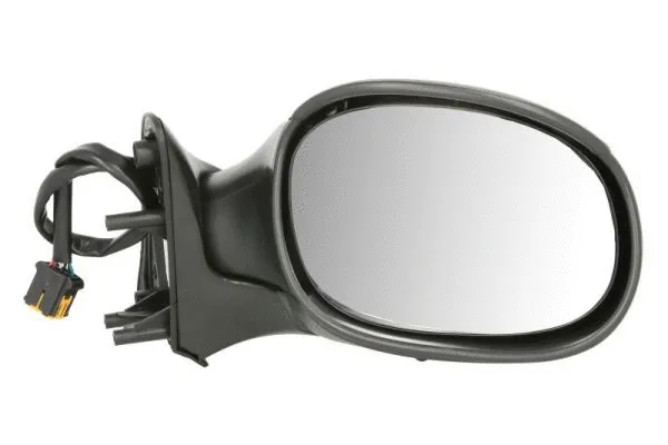 Exterior Mirror (5402-04-1192339)