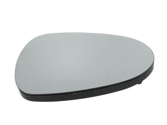 Mirror Glass, exterior mirror (6102-02-1231893P)