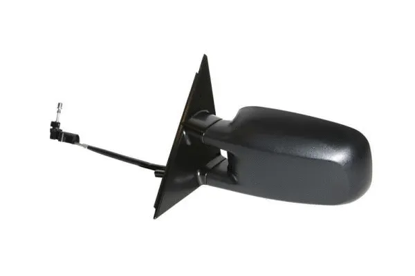 Exterior Mirror (5402-04-1112114P)
