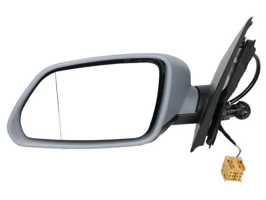 Exterior Mirror (5402-04-1199111P)