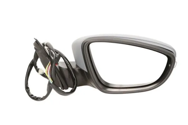 Exterior Mirror (5402-01-2002676P)