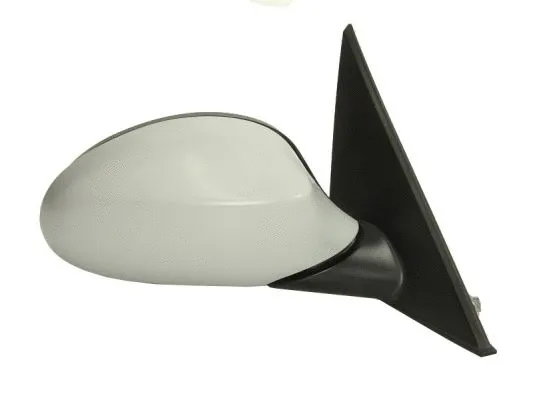 Exterior Mirror (5402-04-1192823)