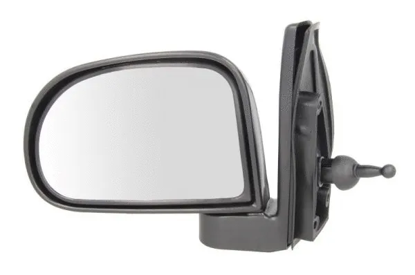 Exterior Mirror (5402-04-1112120P)