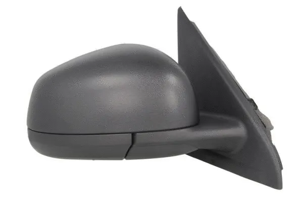 Exterior Mirror (5402-09-2002240P)