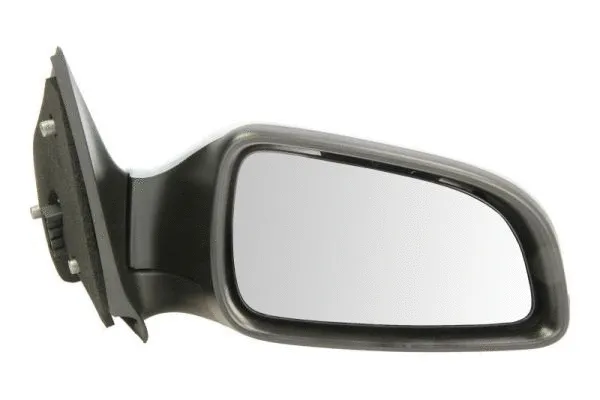 Exterior Mirror (5402-04-1129236P)
