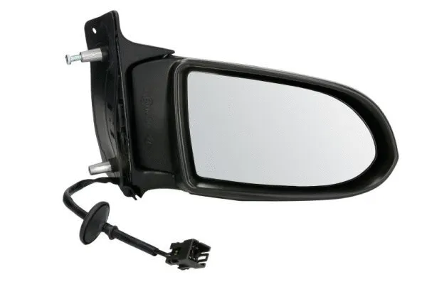 Exterior Mirror (5402-04-1128229P)