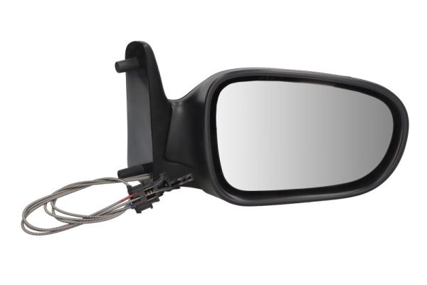 Exterior Mirror (5402-04-1122129)