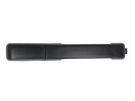 Exterior Door Handle (6010-01-008403P)