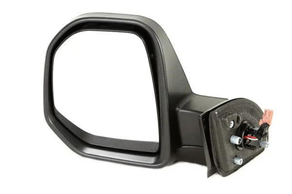 Exterior Mirror (5402-04-9239998)