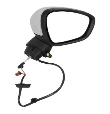 Exterior Mirror (5402-21-039364P)