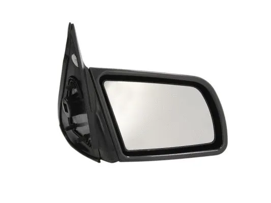 Exterior Mirror (5402-04-1121239P)