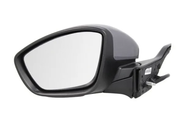 Exterior Mirror (5402-08-2002069P)