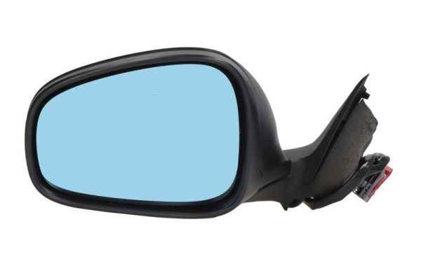 Exterior Mirror (5402-04-1125210)