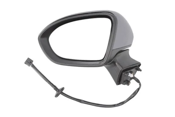 Exterior Mirror (5402-04-0405293P)