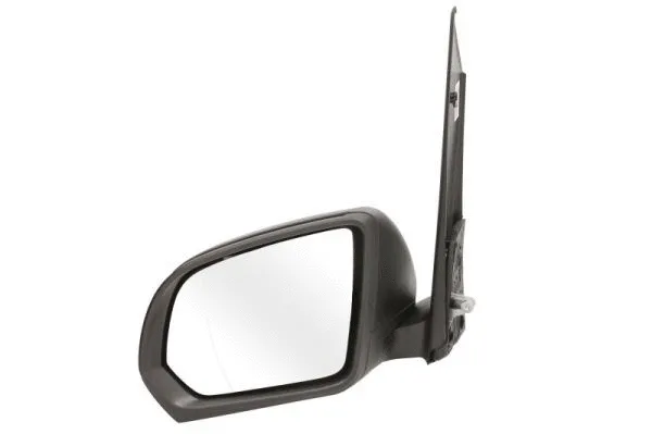 Exterior Mirror (5402-04-0203891P)