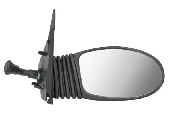 Exterior Mirror (5402-04-1138911P)