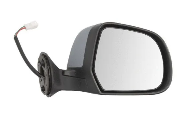 Exterior Mirror (5402-67-003366P)