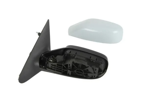 Exterior Mirror (5402-04-1125233P)