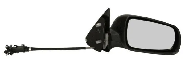 Exterior Mirror (5402-04-1138521P)