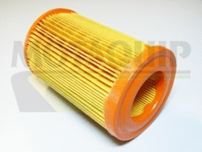 Air Filter (VFA75)