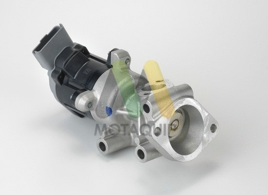 EGR Valve (LVER270)