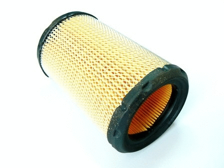 Air Filter (VFA891)