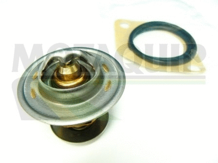 Thermostat, coolant (VTK24)