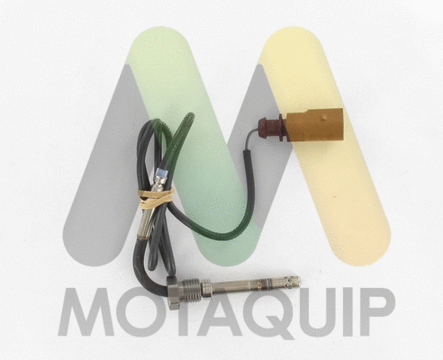 Sensor, exhaust gas temperature (LVET294)
