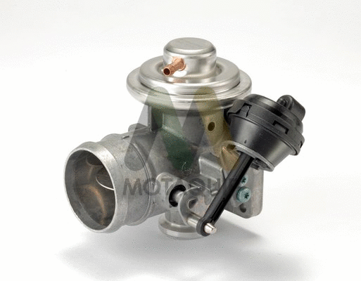 EGR Valve (LVER259)
