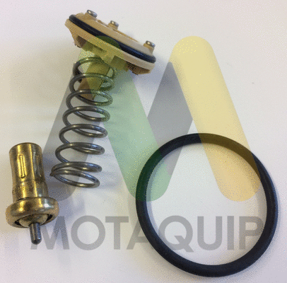 Thermostat, coolant (LVTK204)