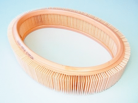 Air Filter (VFA996)