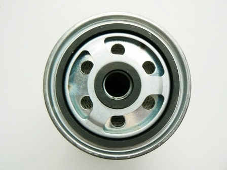 Fuel Filter (VFF424)