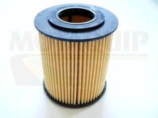 Oil Filter (VFL496)
