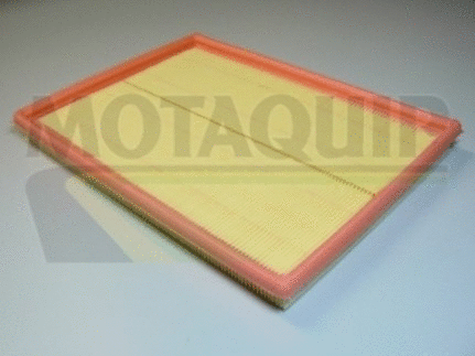 Air Filter (VFA646)