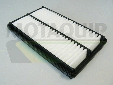 Air Filter (VFA1004)